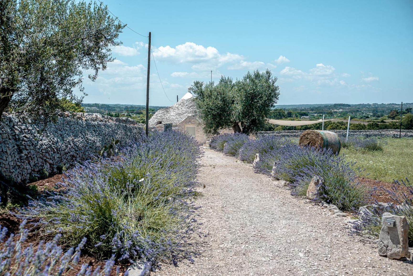 Masseria Pavone Мартина Франка Екстериор снимка